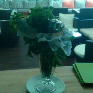 Fotografie Pergola - 2