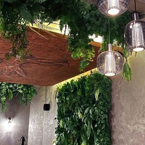 Fotografie Trattoria Colosseum - 6