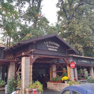 Fotografie La Pădurea Verde - 0