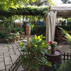 Fotografie Casa Voastră - 1