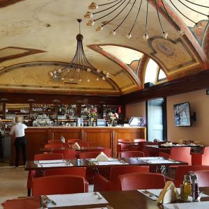 Fotografie Stradivarius - 0