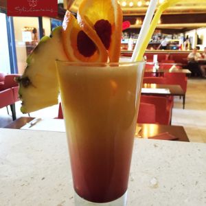 Fotografie Stradivarius - 4