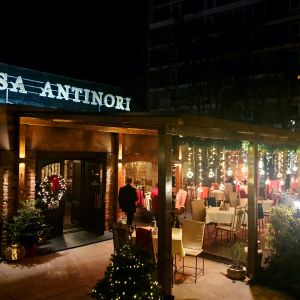 Fotografie Dantino Ristorante (Casa Antinori) - 8