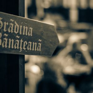 Fotografie Grădina Bănaţeană - 0