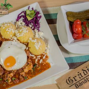 Fotografie Grădina Bănaţeană - 1