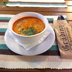 Fotografie Grădina Bănaţeană - 4