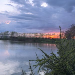 Fotografie Complex Restaurant Flonta - 1