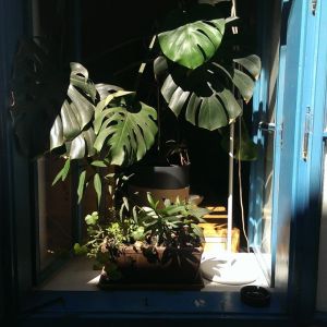 Fotografie Aethernative Café - 2