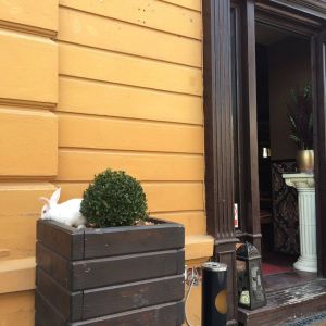 Fotografie Baroque - 4