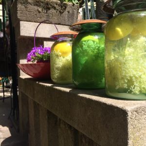 Fotografie Scârț Loc Lejer - 3