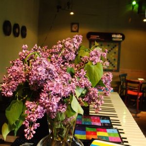 Fotografie Bruiaj Bar - 1