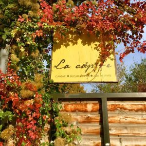 Fotografie La Căpițe - 4
