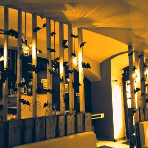 Fotografie Jack's Bistro - 0