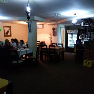 Fotografie Cactus - 0