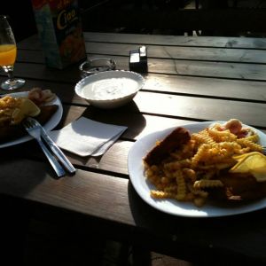 Fotografie Cactus - 1