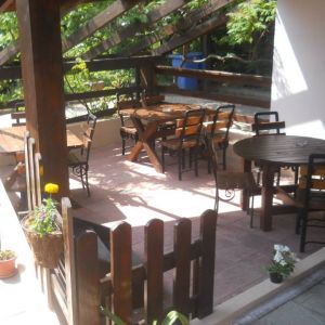 Fotografie Cactus - 2