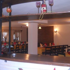 Fotografie Cactus - 3