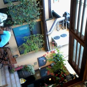 Fotografie Pizza Hot - 1