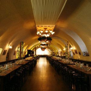 Fotografie Cerbul Carpatin - 0