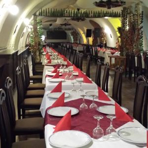 Fotografie Cerbul Carpatin - 1