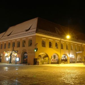 Fotografie Cerbul Carpatin - 3