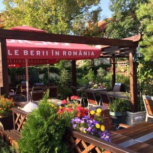 Fotografie Restaurant Casa Romaneasca - 4