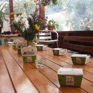 Fotografie Pandamania - 1