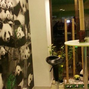 Fotografie Pandamania - 4