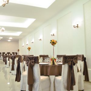 Fotografie Maestro - 1