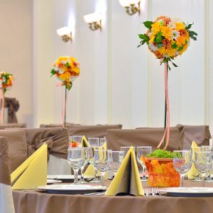 Fotografie Maestro - 4