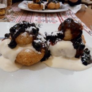 Fotografie Ursul Carpatin - 1