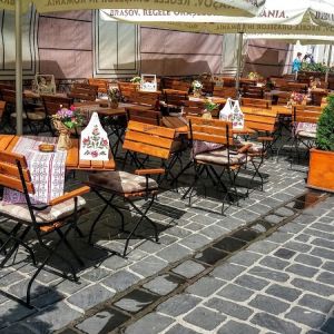 Fotografie Ursul Carpatin - 2