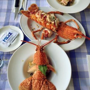 Fotografie MEZE Taverna - 0