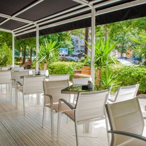 Fotografie Gatto Lounge - 2