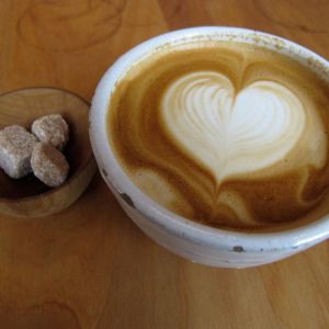 Fotografie Garden Club - 3