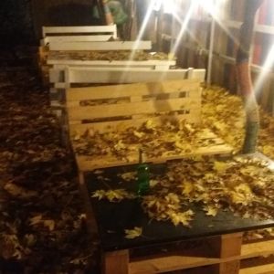 Fotografie Trollo Pub - 2