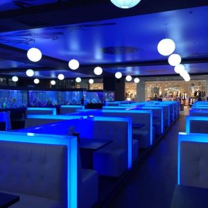 Fotografie Sushi Terra - 0