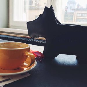 Fotografie Re Modelier - 4