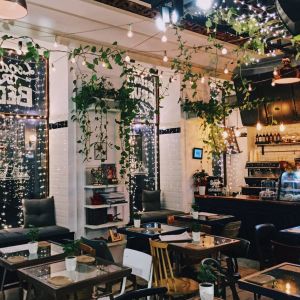 Fotografie The Urbanist - 0