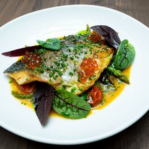 Fotografie POINT - 1