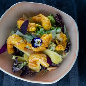 Fotografie POINT - 3