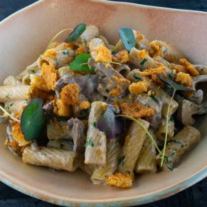 Fotografie POINT - 2