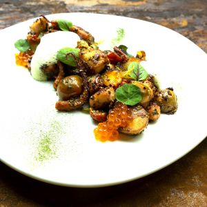 Fotografie POINT - 4