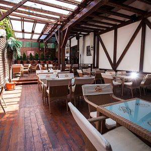 Fotografie White Lion - 1