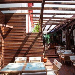 Fotografie White Lion - 3