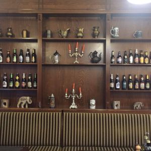 Fotografie White Lion - 4