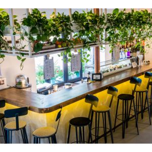 Fotografie Agape Cuisine - 4