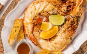 fotografie Dancing Lobster