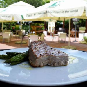 Fotografie The Garden - 0