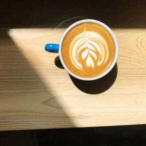 Fotografie Orygyns - 3